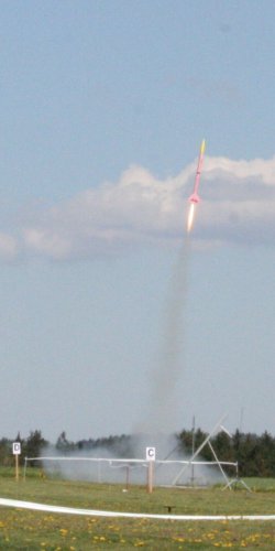 Ruzovy Panter  start